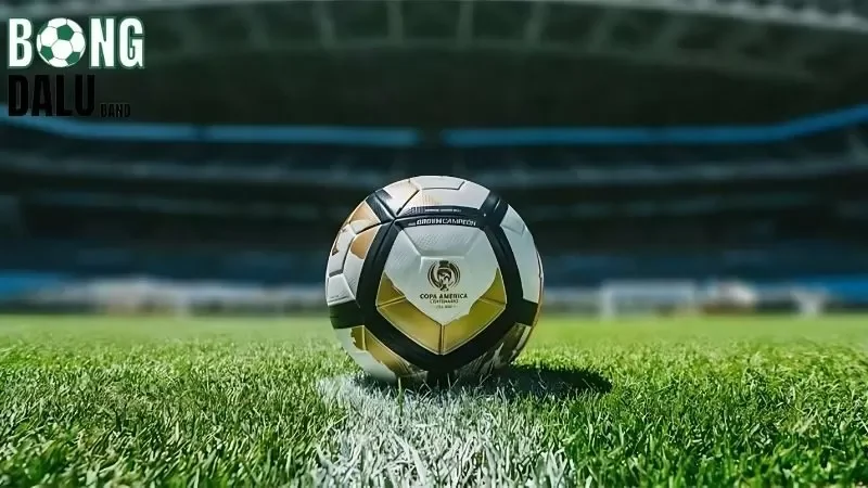 Tìm hiểu và nghiên cứu sâu về 2 đội hình ra sân 